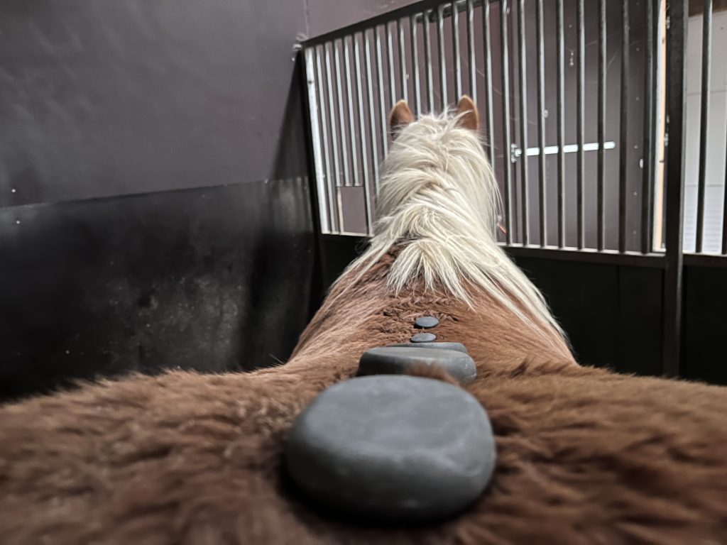 Behandeling met hot stones is een onderdeel van Shiatsu paarden therapie